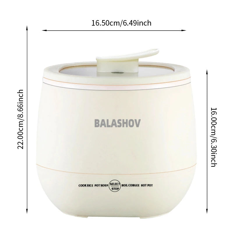 Multifunction Electric Rice Cooker (220V)