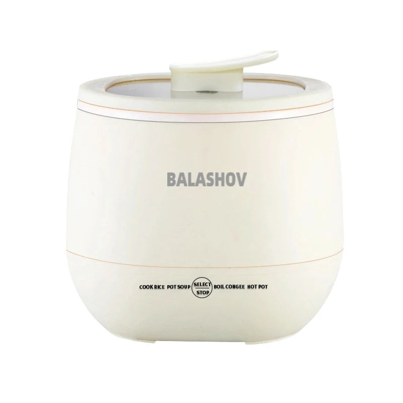 Multifunction Electric Rice Cooker (220V)