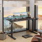 Electric Height Adjustable Standing Desk – 55" x 24", with Memory Presets