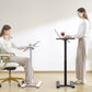 SIHOO Adjustable Standing Desk