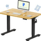 EN1 Adjustable Electric Standing Desk - 48"x24"