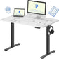 EN1 Adjustable Electric Standing Desk - 48"x24"